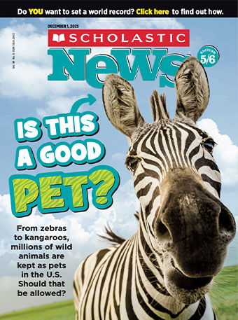 Explore our December 1, 2025, issue